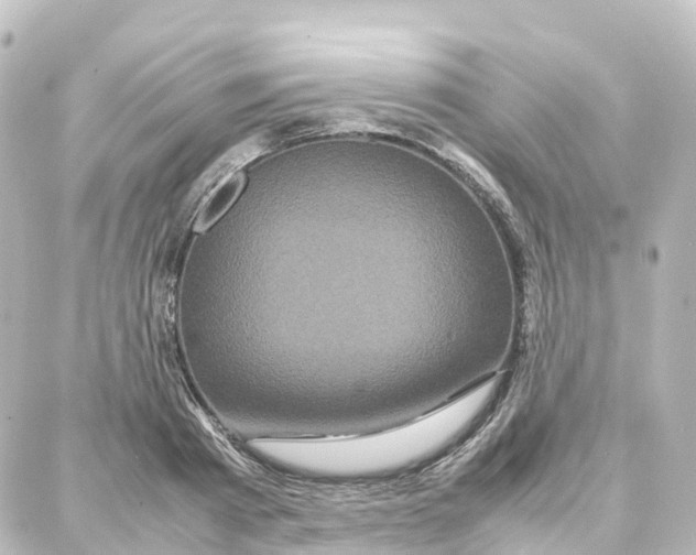 X0000087710793200705251757