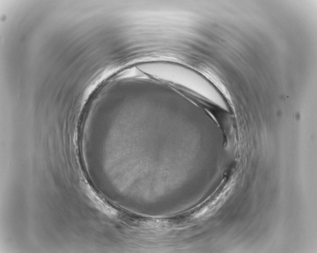 X0000087710797200705251757