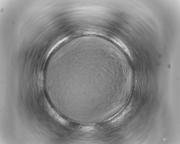 X0000087710798200705251757