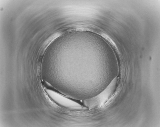 X0000087710801200705251757