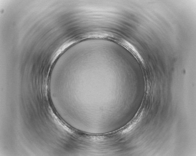 X0000087710802200705251757