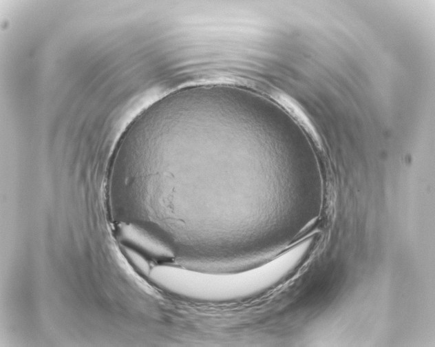 X0000087710805200705251757