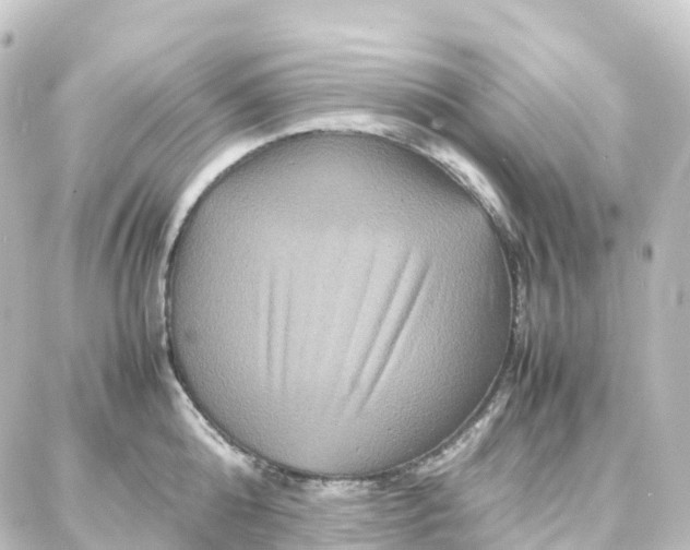 X0000087710808200705251757