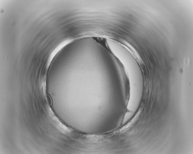 X0000087710812200705251757