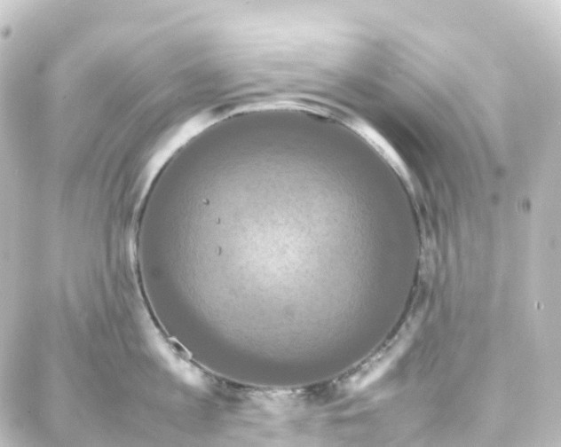 X0000087710813200705251757