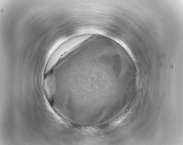 X0000087710815200705251757
