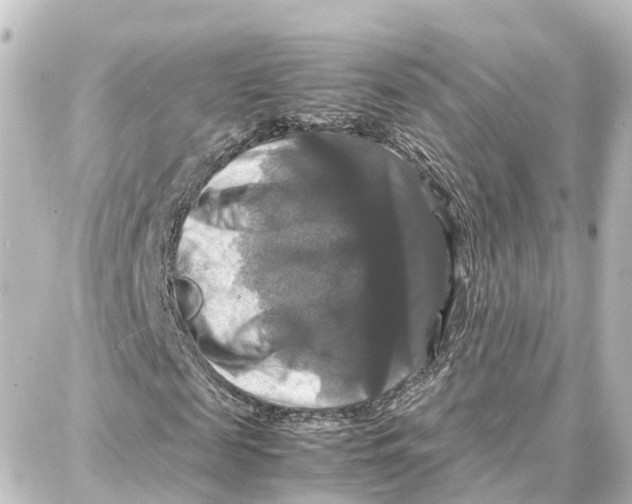 X0000087710817200705251756