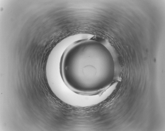 X0000087710818200705251756