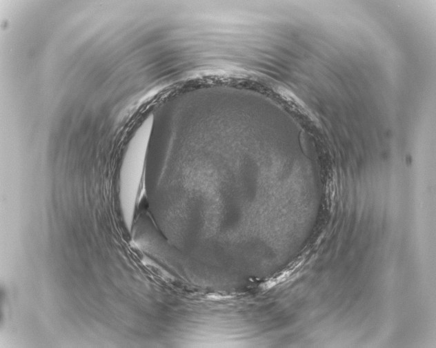 X0000087710822200705251756