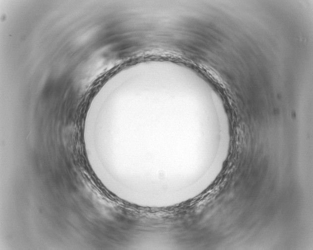X0000087710824200705251756