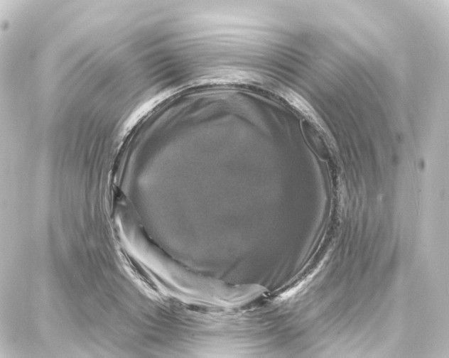 X0000087710842200705251756