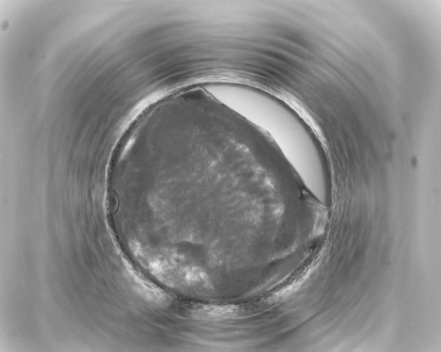 X0000087710845200705251756