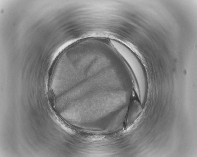 X0000087710846200705251756