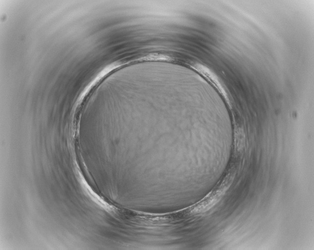 X0000087710851200705251756