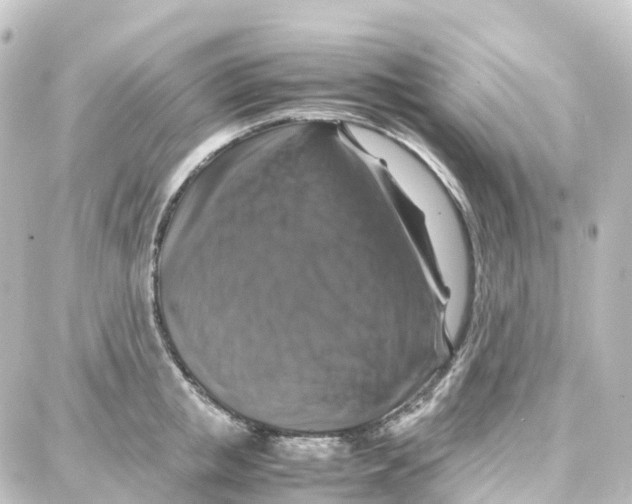 X0000087710853200705251756
