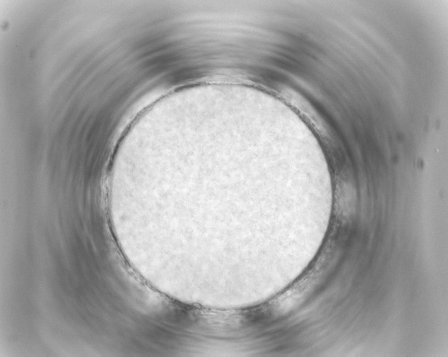 X0000087710856200705251757