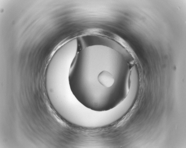 X0000087710858200705251757