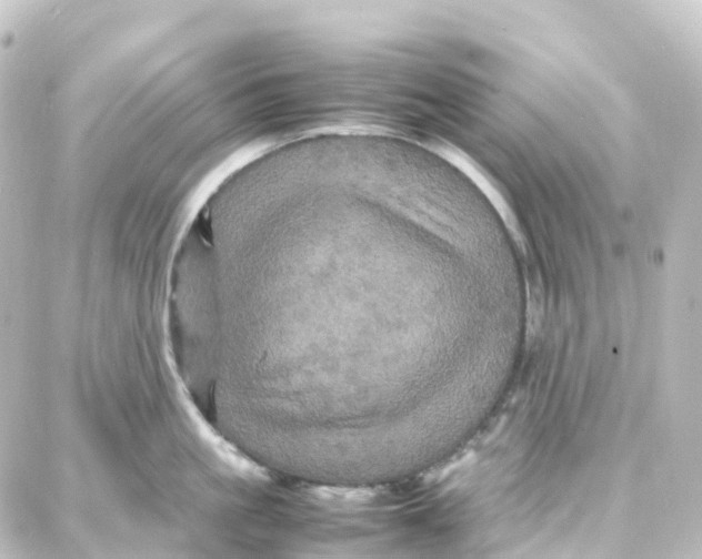 X0000087710861200705251757