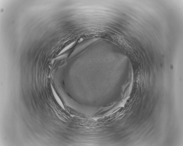 X0000087710868200705251756