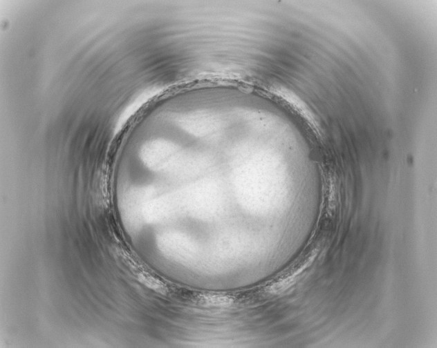X0000087710878200705251756