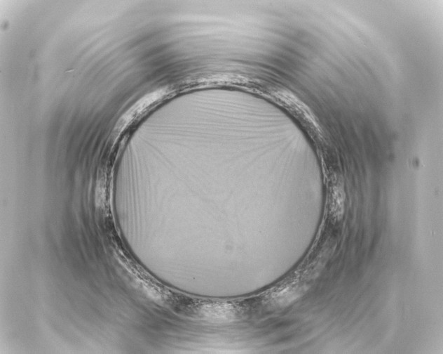 X0000087710882200705251756