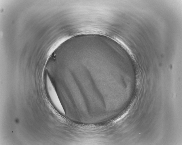 X0000087710885200705251756