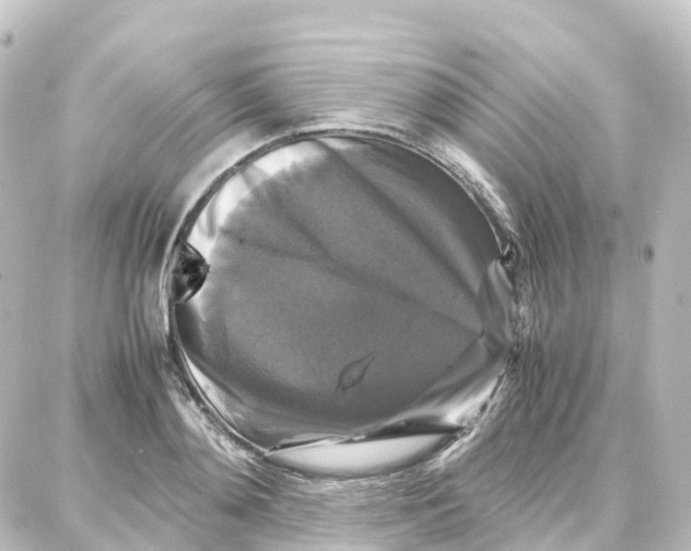 X0000087710892200705251755