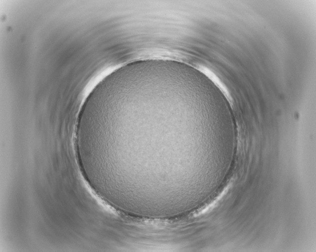 X0000087710901200705251755