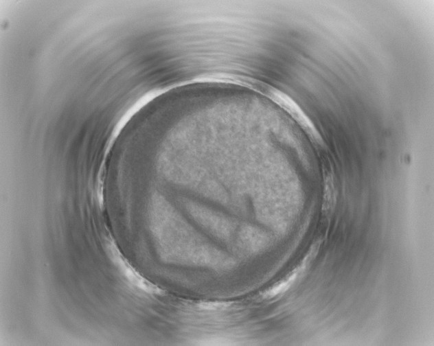 X0000087710908200705251755