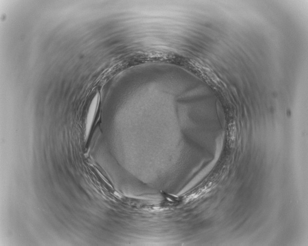 X0000087710916200705251754