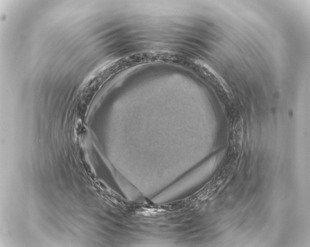 X0000087710919200705251754
