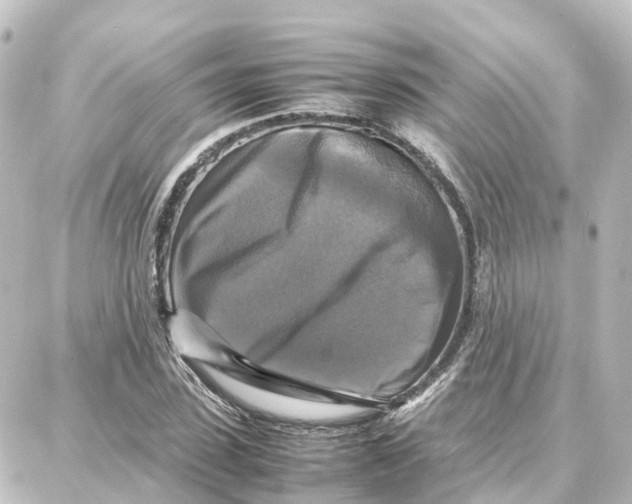 X0000087710923200705251754