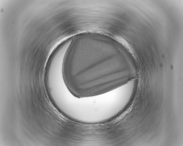 X0000087710924200705251755