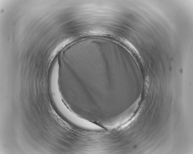 X0000087710930200705251755