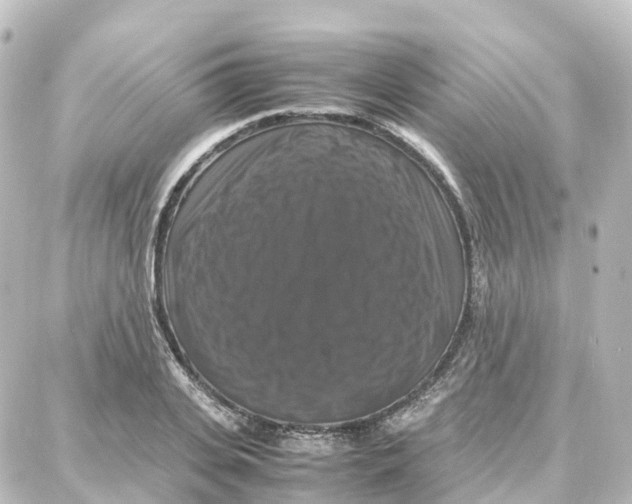 X0000087710935200705251755
