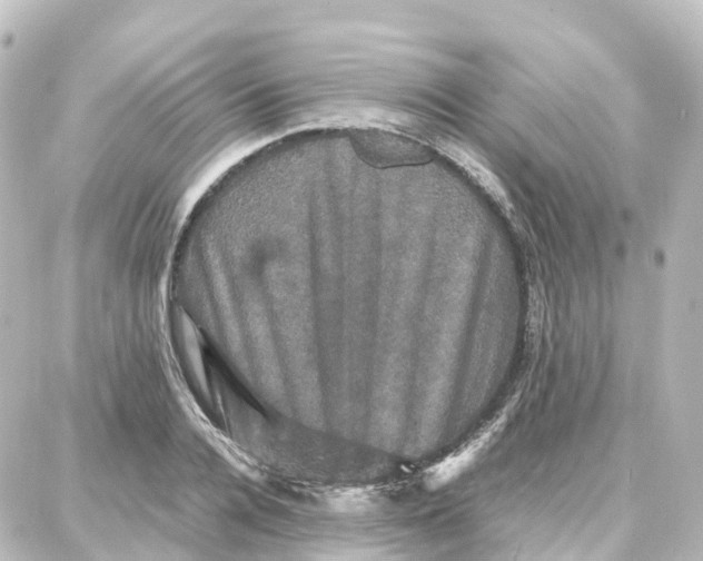 X0000087710936200705251755