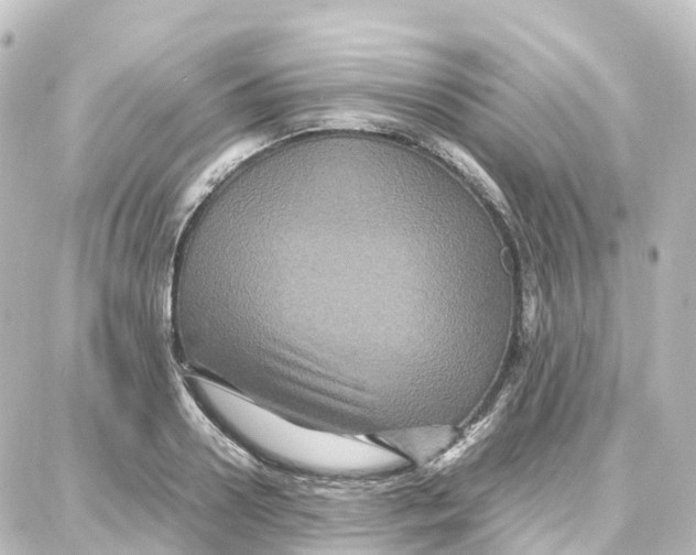 X0000087710938200705251755