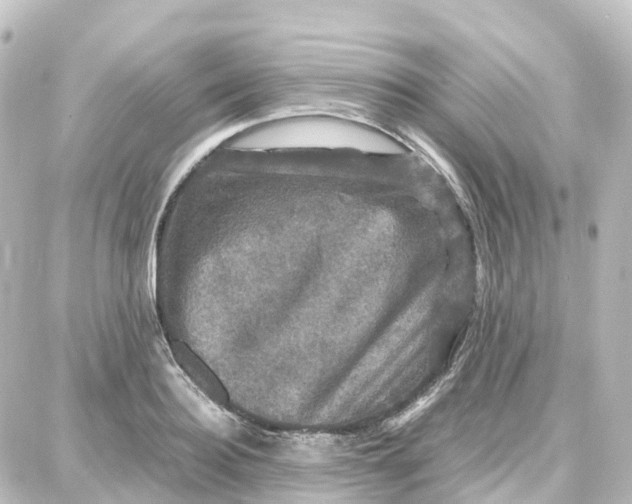 X0000087710940200705251755