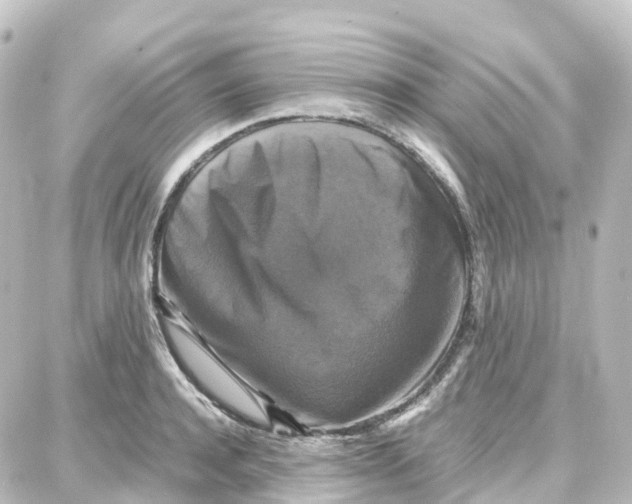 X0000087710944200705251755