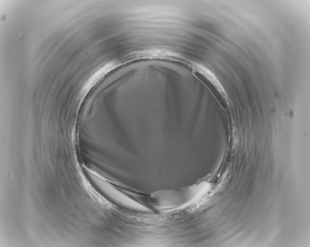 X0000087710946200705251755
