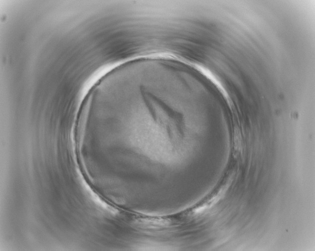 X0000087710959200705251755