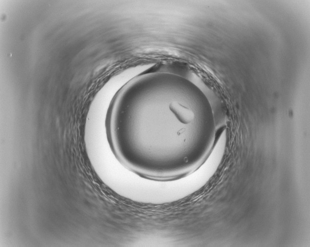 X0000087710965200705251754
