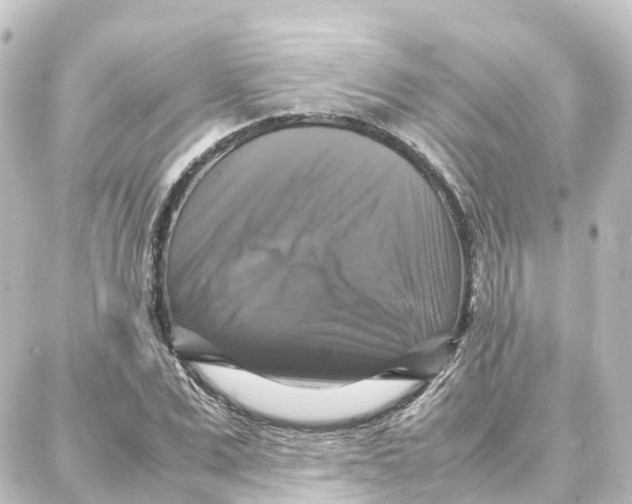 X0000087710975200705251754