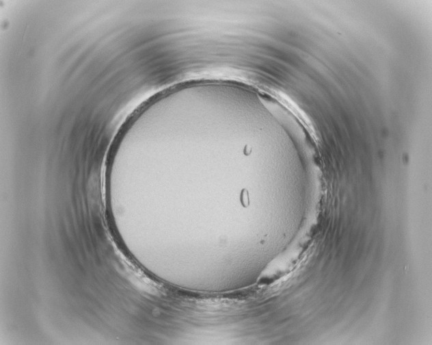 X0000087710988200705251754