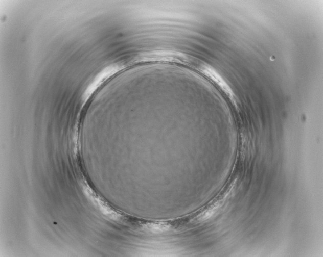 X0000087710994200705251754