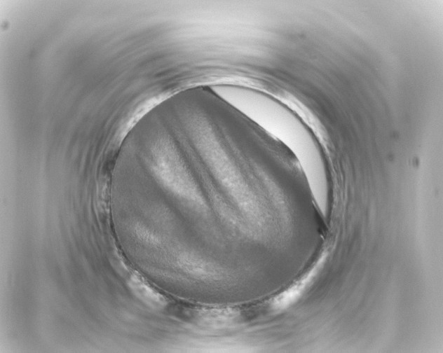 X0000087711001200705251754