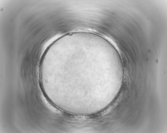 X0000087711003200705251754