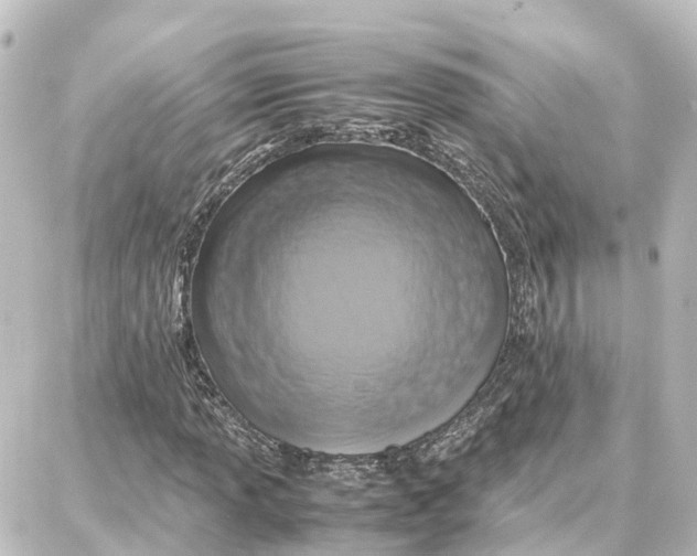 X0000087711013200705251753