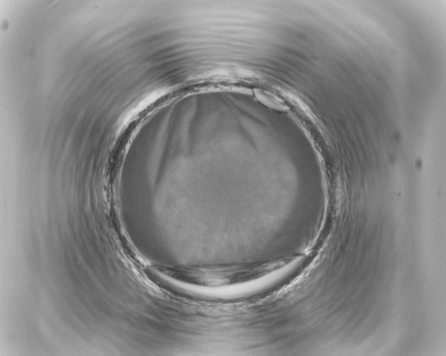 X0000087711018200705251753