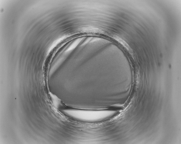 X0000087711022200705251753